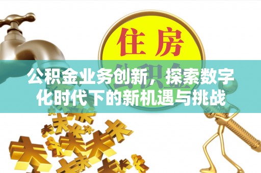 唐河公积金业务创新，探索数字化时代下的新机遇与挑战