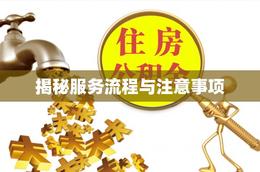 唐河揭秘服务流程与注意事项