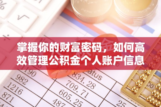 唐河掌握你的财富密码，如何高效管理公积金个人账户信息