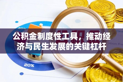唐河公积金制度性工具，推动经济与民生发展的关键杠杆