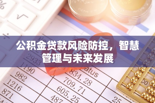 唐河公积金贷款风险防控，智慧管理与未来发展