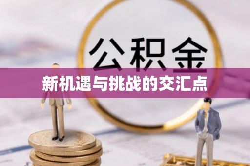唐河新机遇与挑战的交汇点