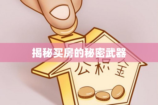唐河揭秘买房的秘密武器