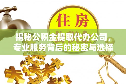 唐河揭秘公积金提取代办公司，专业服务背后的秘密与选择指南