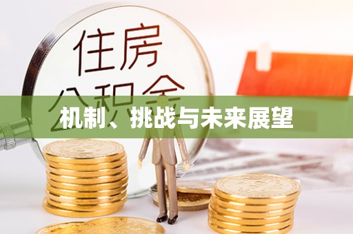 唐河机制、挑战与未来展望