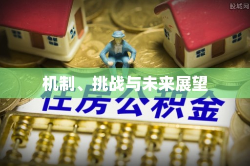 唐河机制、挑战与未来展望